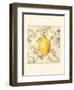 Lemon and Botanicals-Megan Meagher-Framed Art Print