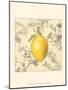 Lemon and Botanicals-Megan Meagher-Mounted Art Print