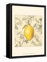 Lemon and Botanicals-Megan Meagher-Framed Stretched Canvas