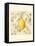 Lemon and Botanicals-Megan Meagher-Framed Stretched Canvas