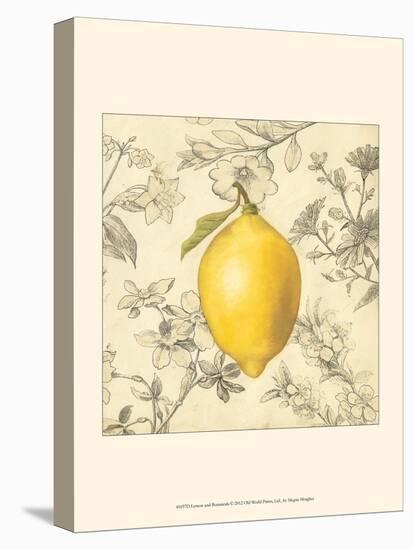 Lemon and Botanicals-Megan Meagher-Stretched Canvas