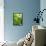 Lemon Balm-Petr Gross-Framed Stretched Canvas displayed on a wall