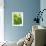 Lemon Balm-Petr Gross-Framed Photographic Print displayed on a wall