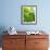 Lemon Balm-Petr Gross-Framed Photographic Print displayed on a wall