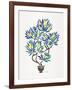 Lemon Bonsai Orange-Cat Coquillette-Framed Giclee Print