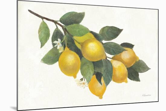 Lemon Branch I-Albena Hristova-Mounted Art Print