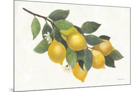 Lemon Branch I-Albena Hristova-Mounted Art Print