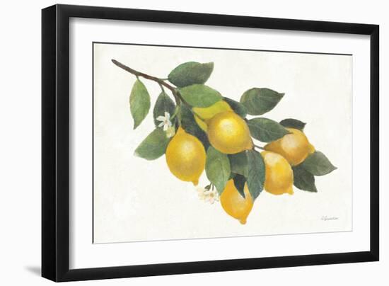 Lemon Branch I-Albena Hristova-Framed Premium Giclee Print