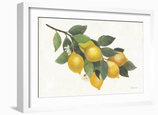 Lemon Branch I-Albena Hristova-Framed Premium Giclee Print