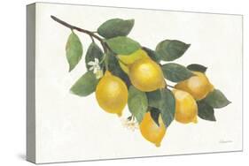 Lemon Branch I-Albena Hristova-Stretched Canvas