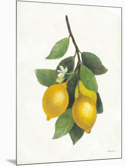 Lemon Branch III-Albena Hristova-Mounted Art Print