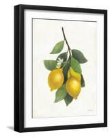 Lemon Branch III-Albena Hristova-Framed Art Print