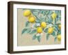 Lemon Branch-Wellington Studio-Framed Art Print