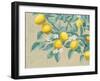 Lemon Branch-Wellington Studio-Framed Art Print