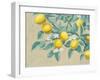 Lemon Branch-Wellington Studio-Framed Art Print