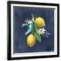 Lemon Branches II-Danhui Nai-Framed Art Print