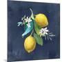 Lemon Branches II-Danhui Nai-Mounted Art Print