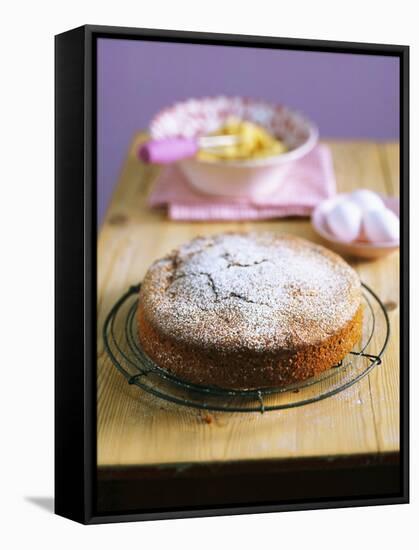 Lemon Cake with Icing Sugar-Nikolai Buroh-Framed Stretched Canvas