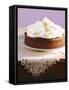 Lemon Cake with Meringue Topping-Nikolai Buroh-Framed Stretched Canvas