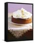 Lemon Cake with Meringue Topping-Nikolai Buroh-Framed Stretched Canvas