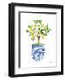 Lemon Chinoiserie I v2-Farida Zaman-Framed Art Print