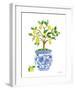 Lemon Chinoiserie I-Farida Zaman-Framed Art Print