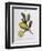 Lemon (Citrus Limonium), Henry Louis Duhamel Du Monceau, Botanical Plate by Pancrace Bessa-null-Framed Giclee Print