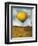 Lemon Drops-Leah Saulnier-Framed Premium Giclee Print