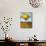 Lemon Drops-Leah Saulnier-Giclee Print displayed on a wall
