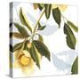 Lemon Floral-Andrew Michaels-Stretched Canvas