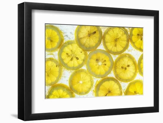 Lemon Fresh-Steve Gadomski-Framed Photographic Print