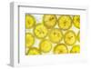 Lemon Fresh-Steve Gadomski-Framed Photographic Print