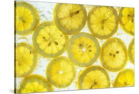 Lemon Fresh-Steve Gadomski-Stretched Canvas