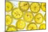 Lemon Fresh-Steve Gadomski-Mounted Photographic Print