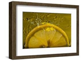 Lemon FreshSplash Number 2-Steve Gadomski-Framed Photographic Print