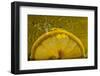 Lemon FreshSplash Number 2-Steve Gadomski-Framed Photographic Print