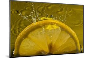 Lemon FreshSplash Number 2-Steve Gadomski-Mounted Photographic Print