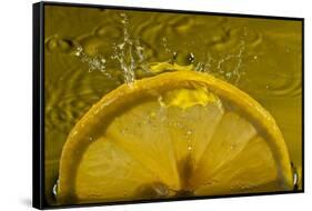 Lemon FreshSplash Number 2-Steve Gadomski-Framed Stretched Canvas