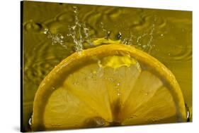 Lemon FreshSplash Number 2-Steve Gadomski-Stretched Canvas