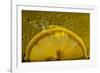 Lemon FreshSplash Number 2-Steve Gadomski-Framed Photographic Print