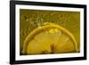 Lemon FreshSplash Number 2-Steve Gadomski-Framed Photographic Print