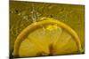 Lemon FreshSplash Number 2-Steve Gadomski-Mounted Photographic Print