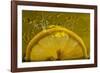 Lemon FreshSplash Number 2-Steve Gadomski-Framed Photographic Print