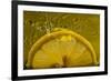 Lemon FreshSplash Number 2-Steve Gadomski-Framed Photographic Print