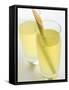 Lemon Grass Lemonade in Two Glasses-Chris Alack-Framed Stretched Canvas