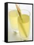 Lemon Grass Lemonade in Two Glasses-Chris Alack-Framed Stretched Canvas