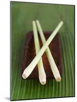 Lemon Grass-Jean Cazals-Mounted Photographic Print