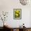 Lemon Grove II-Karyn Millet-Framed Photographic Print displayed on a wall