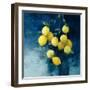 Lemon Grove II-Julia Purinton-Framed Art Print