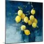 Lemon Grove II-Julia Purinton-Mounted Art Print